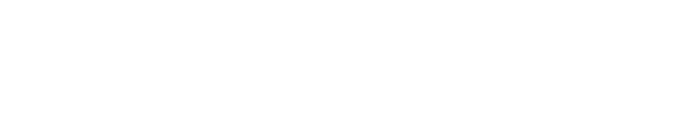 Identificador-CIAP